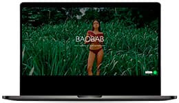 Diseño de tiendas virtuales Ecommerce Bogota BAOBAB b agencia de ecommerce